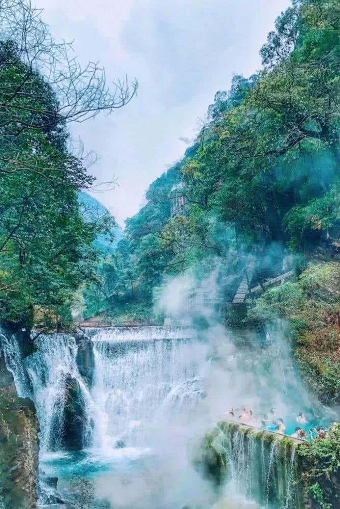 眼镜蛇秘密行动